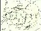 misc 010.jpg